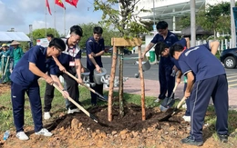 Sinh viên cùng phủ xanh quảng trường sáng tạo Đại học Quốc gia TP.HCM