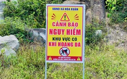 Chính quyền phải cắm biển cảnh báo khỉ hoang trên đường ven biển gần Mũi Điện