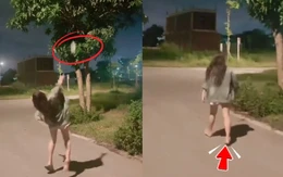 Cô gái mất đôi dép khi trộm xoài