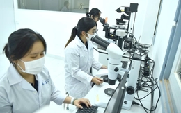 TP.HCM tính chuyện giữ người tài bằng cả hệ sinh thái