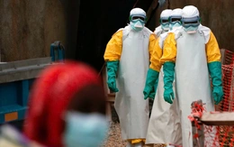 Họp khẩn phòng chống bệnh Ebola: Nguy cơ xâm nhập thấp nhưng phải cảnh giác cao