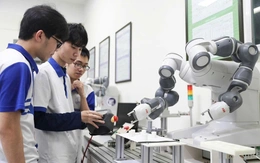 Giảng viên đồng cơ hữu trong trường đại học công lập phải có trình độ tiến sĩ
