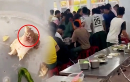 Sở Y tế TP Huế nói về vụ sinh viên phản ánh bữa ăn có gián, dòi