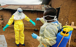 Bộ Y tế hỏa tốc yêu cầu phòng chống bệnh do vi rút Ebola, theo dõi người về từ vùng dịch