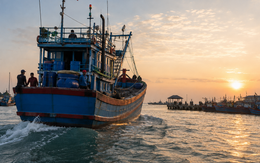 Tàu cá ra khơi nhưng không đánh bắt, đợi đủ ngày về nhận tiền dầu: Cục Thủy sản và Kiểm ngư vào cuộc