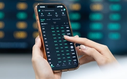 Cổ phiếu dầu khí bị bán tháo, VN-Index vẫn hồi phục gần 9 điểm