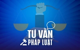 Cha mẹ là người Việt, con sang Mỹ từ nhỏ chưa làm giấy khai sinh, giờ làm thế nào?
