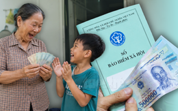 Hướng dẫn hưởng trợ cấp hằng tháng dù chưa đủ điều kiện hưởng lương hưu