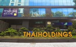 Điều gì khiến cổ phiếu của Thaiholdings tăng 15 phiên liên tiếp?
