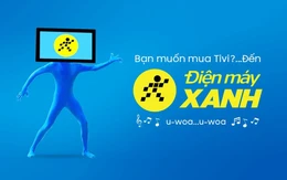Hé lộ mảng kinh doanh không rủi ro, có biên lợi nhuận hơn 94% của Điện Máy Xanh