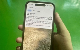 Công an điều tra vụ thóc của gia đình nông dân nghi bị đổ thuốc diệt chuột