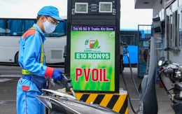 Xăng sinh học: Đã đánh giá tác động kỹ lưỡng