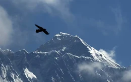 Nhà leo núi từng bị ung thư, vẫn phá kỷ lục tốc độ chinh phục Everest tồn tại hơn 20 năm