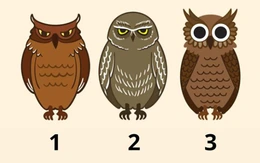 Quiz: Bạn đang chờ đợi một thông điệp gì?
