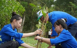 Đồng Tháp kêu gọi người dân phân loại rác và giảm đồ dùng nhựa