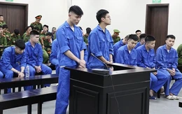 Đường dây mạo danh Huấn Hoa Hồng lừa 12 tỉ và môi giới bán thận lãnh án