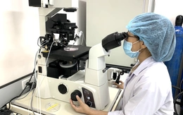 Học tiến sĩ ở Đại học Quốc gia TP.HCM có thể nhận hỗ trợ hơn nửa tỉ đồng