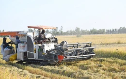 ĐBSCL: Bước ngoặt lịch sử trở thành hình mẫu nông nghiệp carbon thấp của châu Á