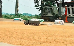 Chiếc xe cào lúa 'cây nhà lá vườn' của con trai khiến bố mẹ mát lòng mát dạ