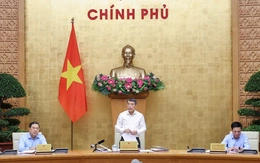 Bộ Chính trị quy định nhiệm vụ, tổ chức bộ máy của Đảng ủy Chính phủ