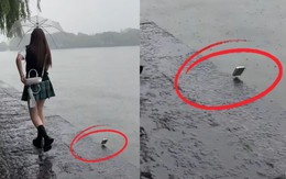 Cô gái đứng hình vì chiếc điện thoại 'ham chơi'