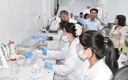 Nghịch lý sầu riêng miền Tây: Vùng nguyên liệu tỉ đô thiếu phòng kiểm nghiệm