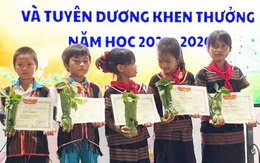 Trường trao thưởng bằng sâm Ngọc Linh: Ý nghĩa nhưng trồng ở đâu, chăm sóc sao?