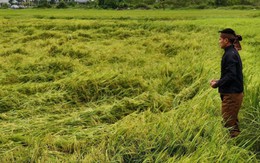 Người dân Nghệ An 'quay cuồng' vì mưa đá, dông lốc