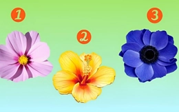 Quiz: Bạn đáng yêu đến mức nào?