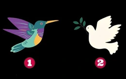 Quiz: Bạn được người khác nhìn nhận như thế nào?