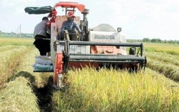 Gia Lai xác minh, xử lý thông tin 'bảo kê' máy gặt lúa trên đồng