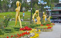 Festival hoa Đà Lạt diễn ra cả ở Phan Thiết, Gia Nghĩa