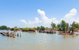 Vụ đê biển Tây bị sạt lở, bể đứt đoạn: Lãnh đạo tỉnh An Giang chỉ đạo khẩn trương khắc phục