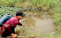 Đề xuất xử lý hình sự hành vi dùng kích điện đánh bắt kiểu 'tận diệt'