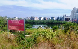 Cây mọc trái thiết kế, cản thoát lũ ở Nha Trang: Tiếp tục xin ý kiến để xử lý