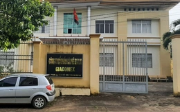 Kiến nghị điều tra hình sự vụ cổ phần hóa Công ty Cà phê Gia Lai gây thất thoát 26,7 tỉ đồng