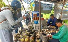 Du khách về phum sóc An Giang thưởng thức sản phẩm từ cây thốt nốt thơm ngọt, mát lành