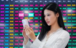 VN-Index tăng vọt, vì sao nhiều người vẫn không kiếm được tiền từ chứng khoán?