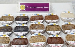 [Test] Ra mắt Hợp tác xã 'lúa mùa nổi' Vĩnh Gia và ký kết '4 nhà' - sửa 1