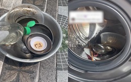 Thanh niên hướng dẫn cách rửa bát bằng máy giặt