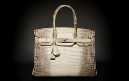 Túi Hermès da cá sấu bạch tạng: Biểu tượng xa xỉ được giới siêu giàu săn lùng