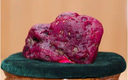 Myanmar tìm được viên hồng ngọc hơn 2kg, Tổng thống cùng nội các phải kiểm tra tận mắt