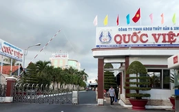 Hàng chục doanh nghiệp Cà Mau nợ bảo hiểm, có đơn vị nợ hơn 15 năm