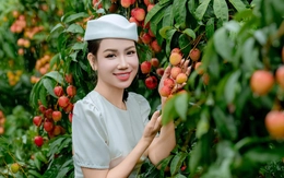 Giá vải thiều tăng mạnh chưa từng có