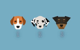 Quiz: Bạn luôn giữ thái độ ôn hòa?