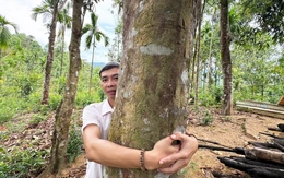 Vào vùng 'cao sơn ngọc quế' Trà Leng, nơi có nhiều vườn cây 'khủng'