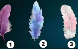 Quiz: Bạn sở hữu sức mạnh tiềm ẩn gì?