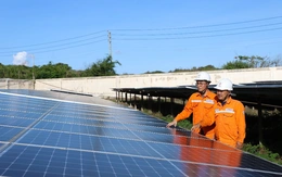 Đảo xanh Phú Quý chuyển mình nhờ điện xanh