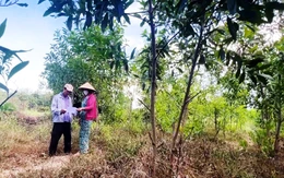 Thu hồi dự án FLC nhưng 'quên' hủy quyết định thu hồi đất