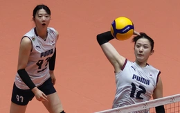 Lịch thi đấu AVC Cup ngày 13-6: Bóng chuyền nữ Việt Nam đấu Hàn Quốc